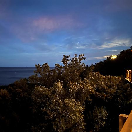 סארי סולנזארה Villa L'Alpana En Bois Vue Mer A 180 Degres מראה חיצוני תמונה